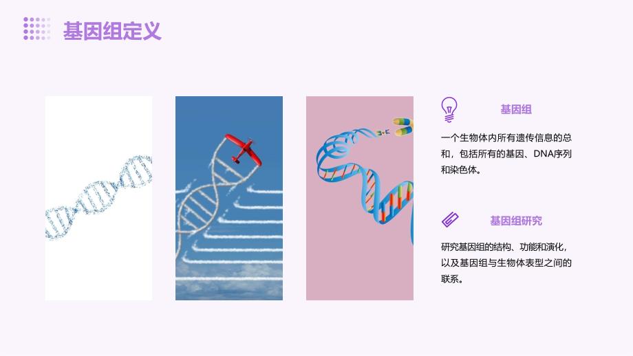 《基因组结构》课件_第4页