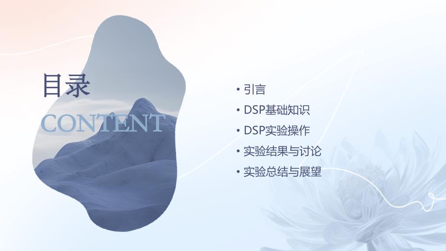 《DSP实验讲义》课件_第2页