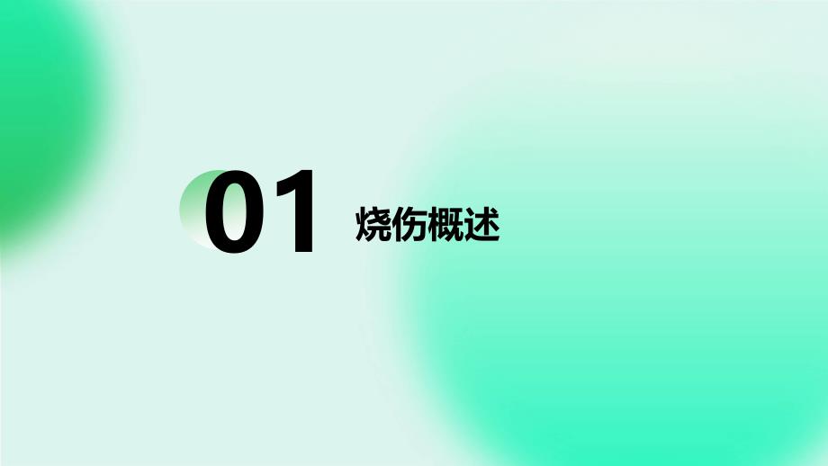 《烧伤临床解析》课件_第3页