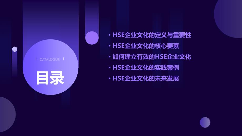 《HSE企业文化概述》课件_第2页