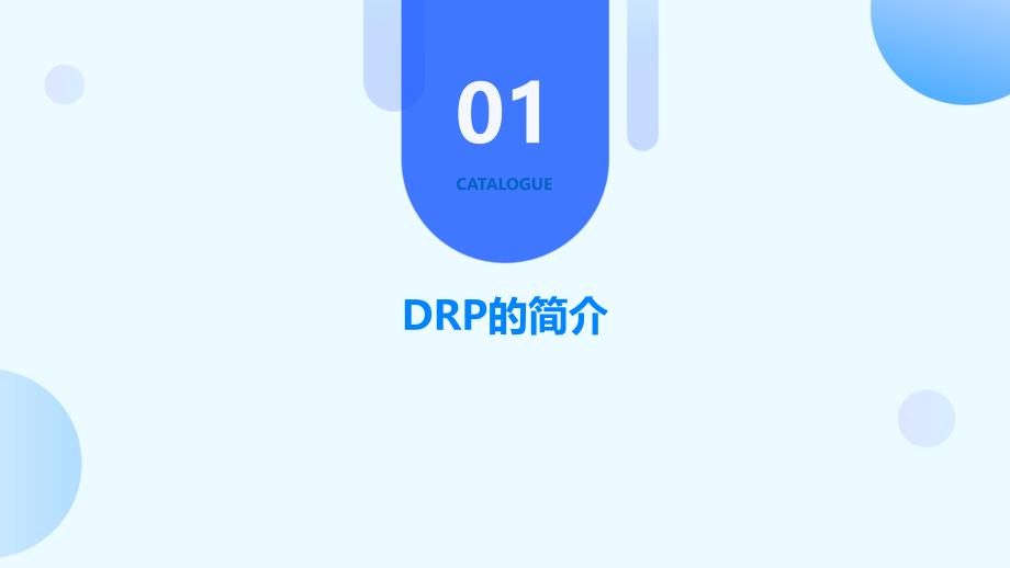 《DRP重要成分表》课件_第3页