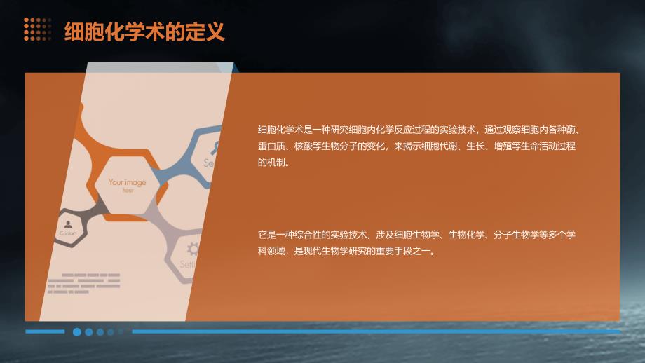 《细胞化学术》课件_第4页