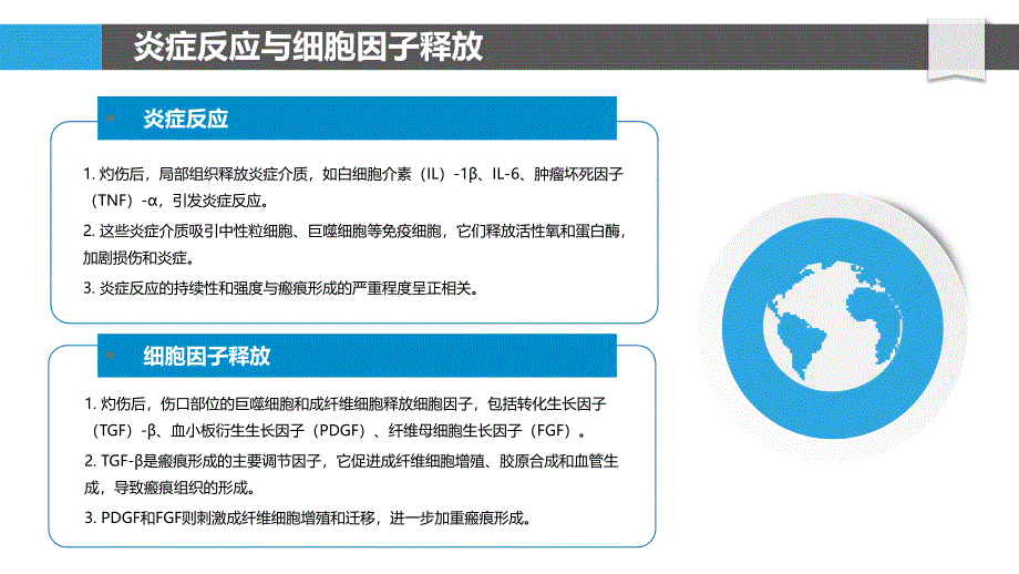 灼伤后瘢痕形成的分子机制_第4页