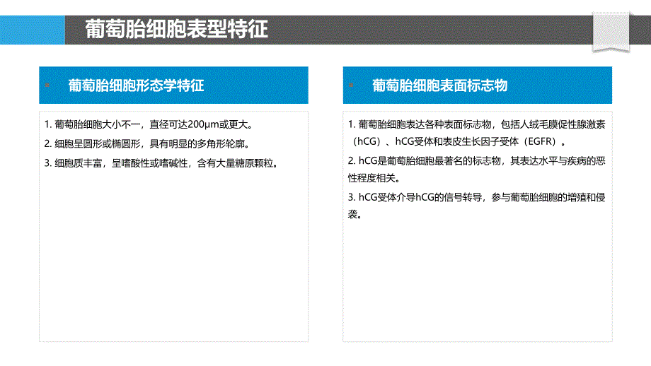 葡萄胎细胞表面标志物鉴定_第4页