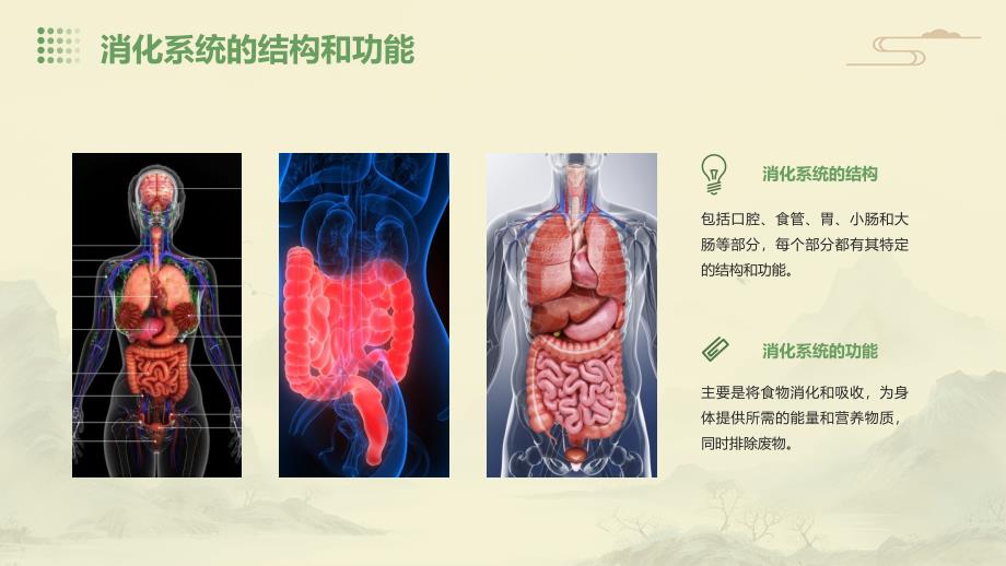 《消化常用实验检查》课件_第4页