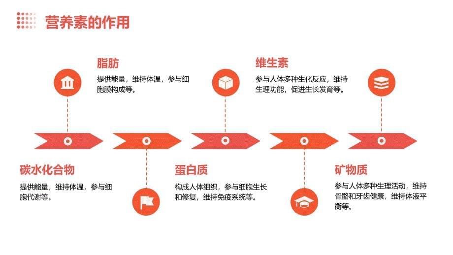 《基础营养》课件_第5页