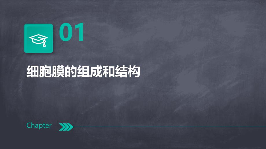 《细胞膜及其表面》课件_第3页