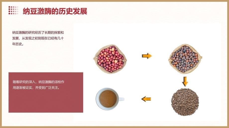 《纳豆激酶的简介》课件_第5页