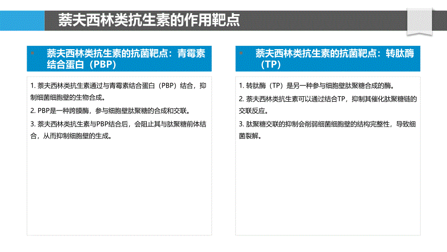 萘夫西林类抗生素的抗菌机制_第4页