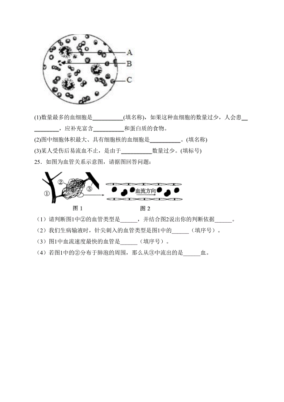 广西南宁市武鸣区2023-2024学年七年级下学期期中考试生物试卷(含答案)_第4页