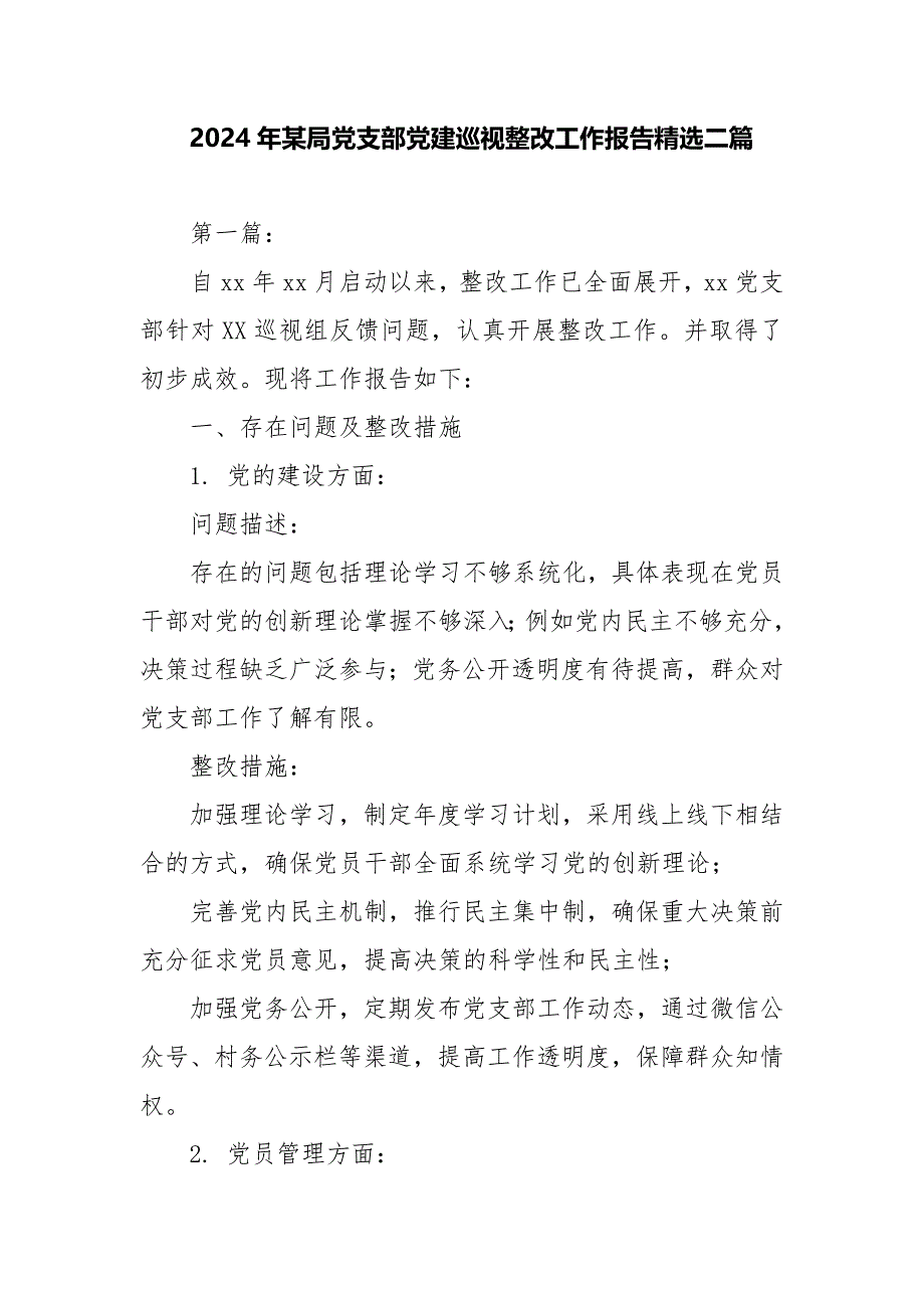 2024年某局党支部党建巡视整改工作报告精选二篇_第1页