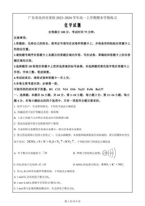 广东省高州市某校2023-2024学年高一上学期期末模拟化学试题（原卷版）