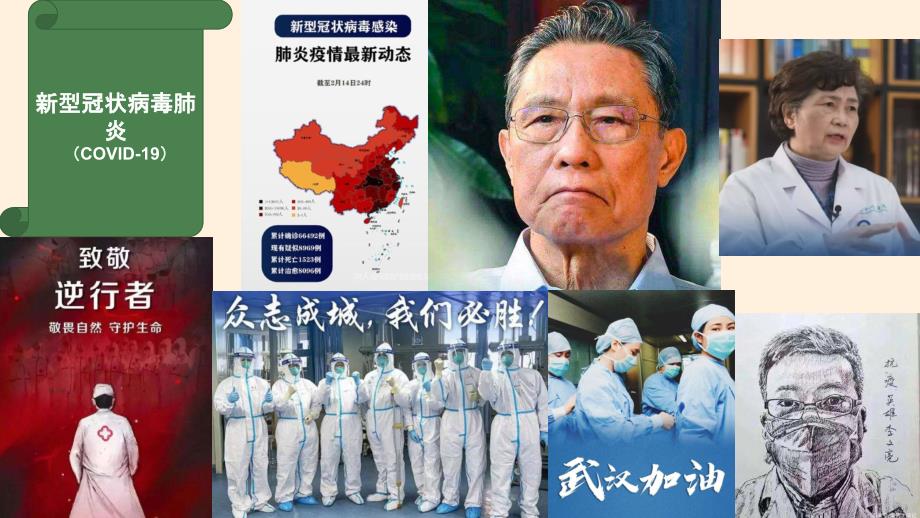 【生物】传染病及其预防课件 2023--2024学年人教版生物八年级下册_第2页