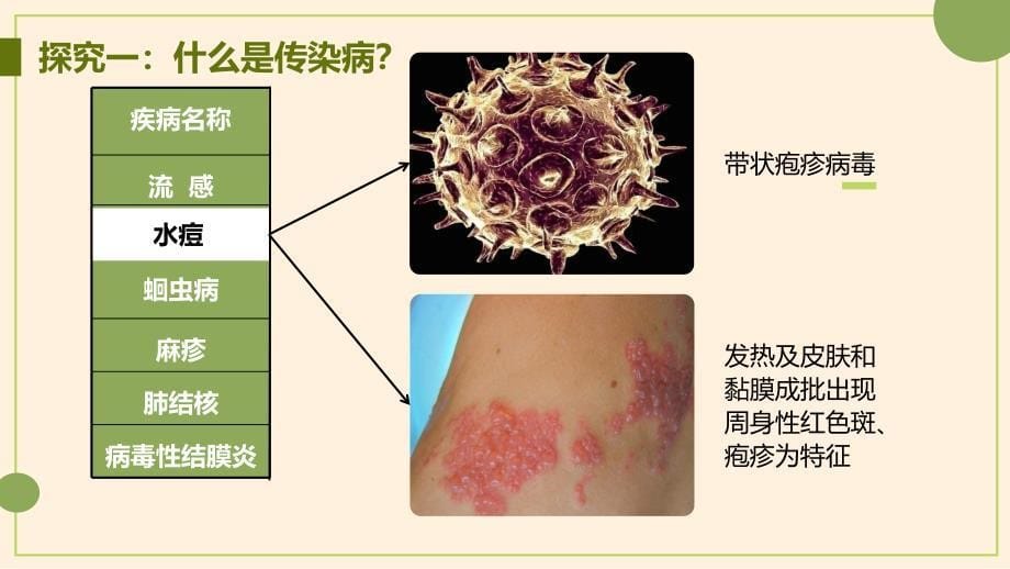 【生物】传染病及其预防课件 2023--2024学年人教版生物八年级下册_第5页