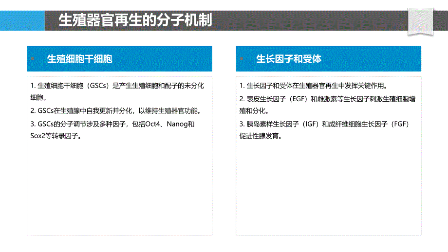 生殖器官的再生和修复_第4页