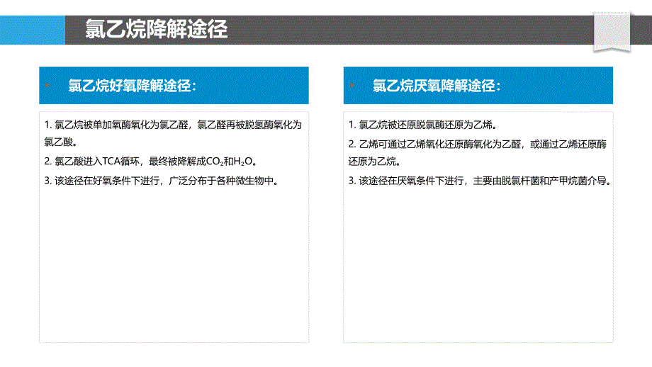 氯乙烷生物降解机制_第4页