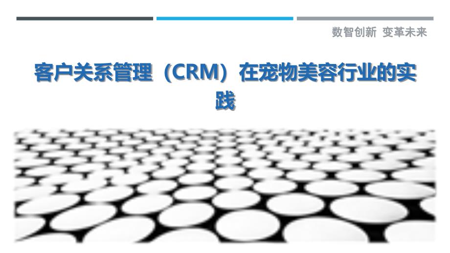 客户关系管理（CRM）在宠物美容行业的实践_第1页