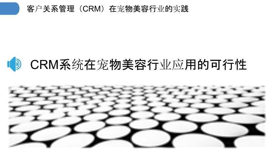 客户关系管理（CRM）在宠物美容行业的实践_第5页