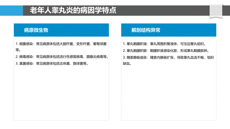 老年人睾丸炎的临床特点_第4页