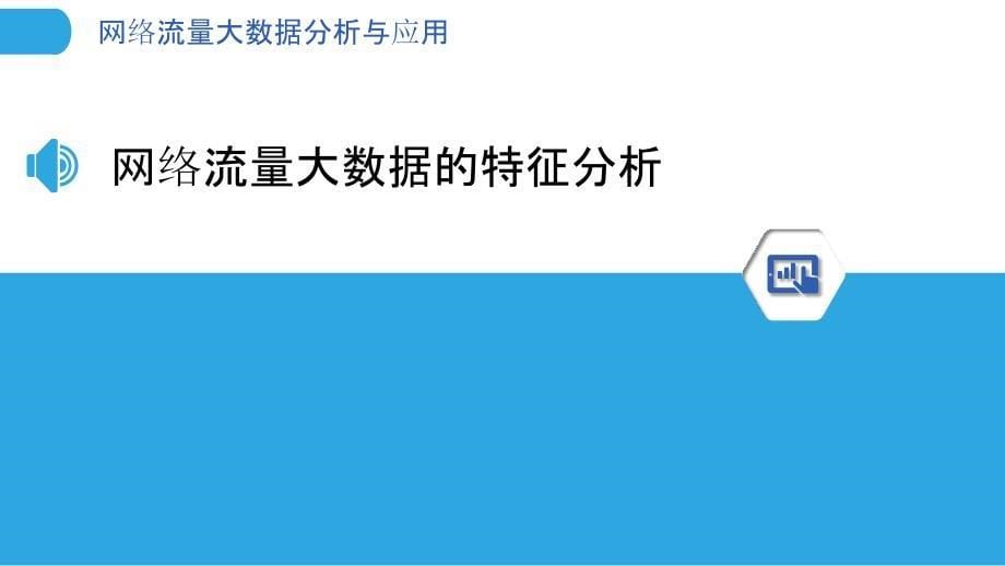 网络流量大数据分析与应用_第5页