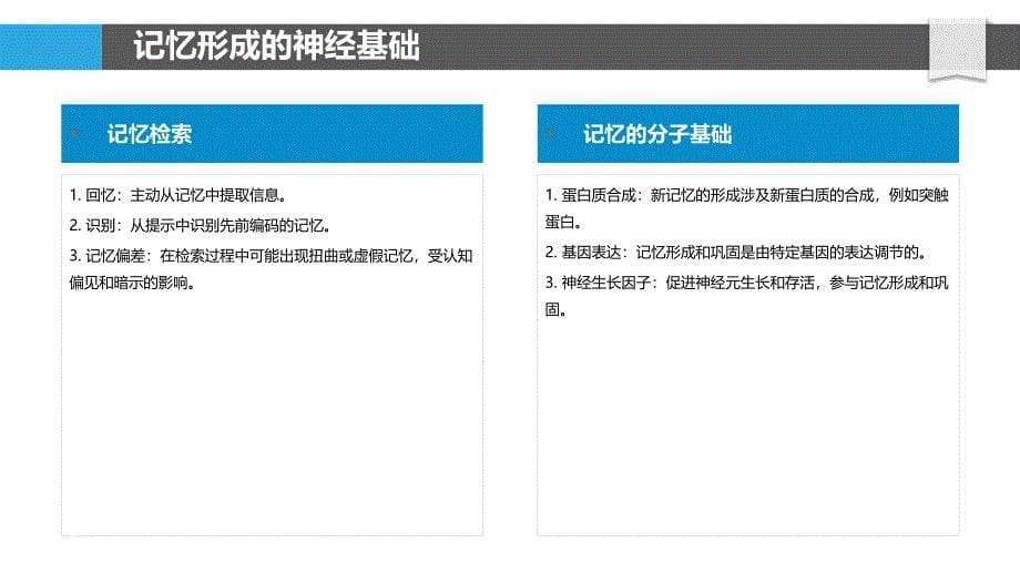 记忆的系统神经科学_第5页