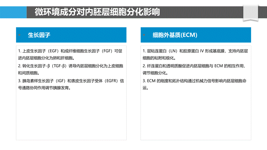 微环境对内胚层细胞分化的调控_第4页