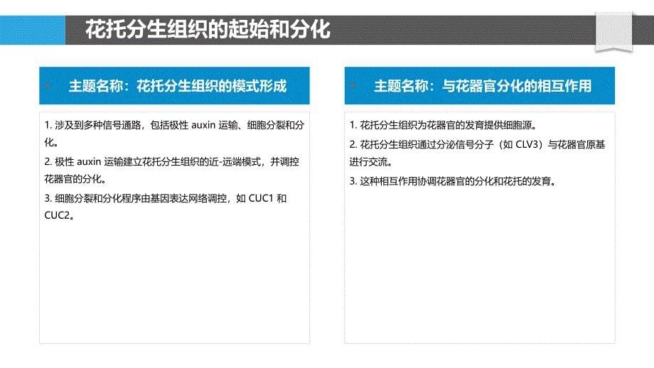 花托发育的分子机制_第5页