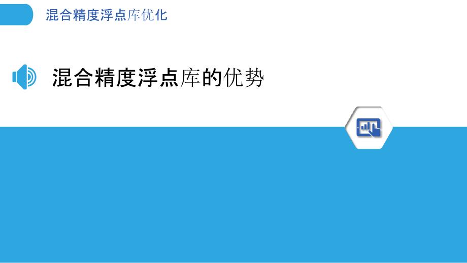 混合精度浮点库优化_第3页