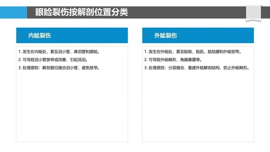 眼睑裂伤分类与分级_第5页