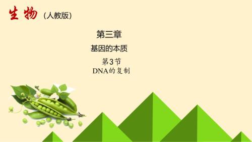 【生物】DNA的复制课件-2023-2024学年高一下学期生物人教版（2019）必修2