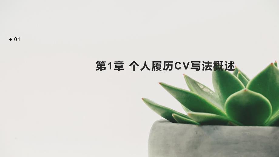 《个人履历CV写法》课件_第3页