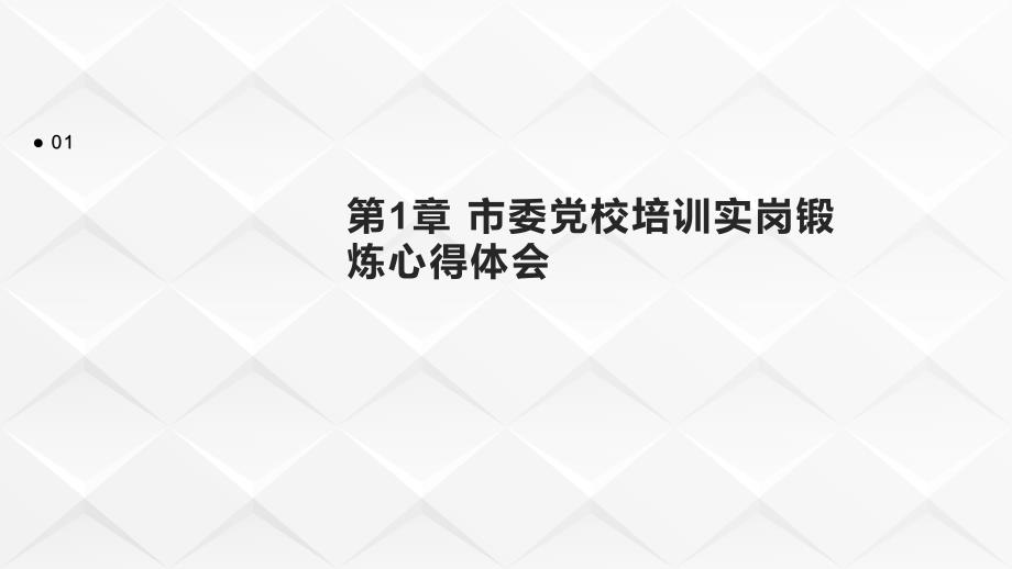 市委党校培训实岗锻炼心得体会_第3页