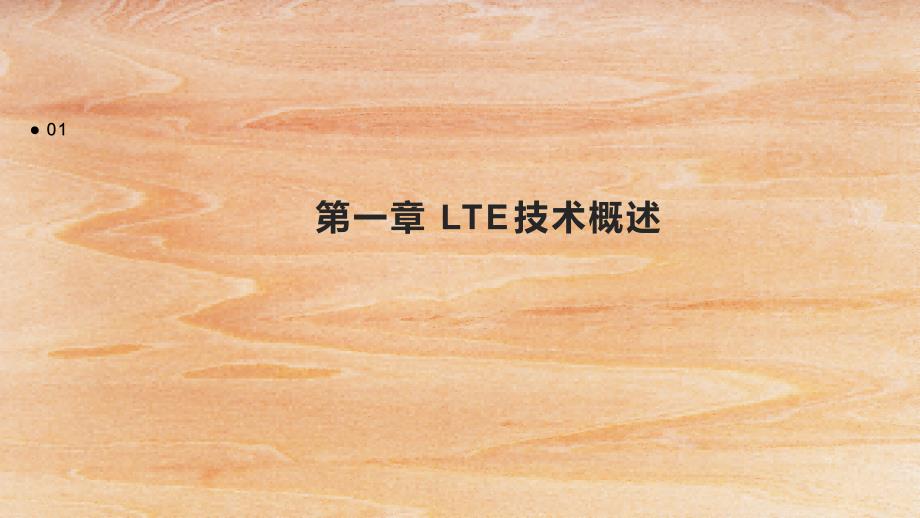 《LTE技术指导》课件_第3页
