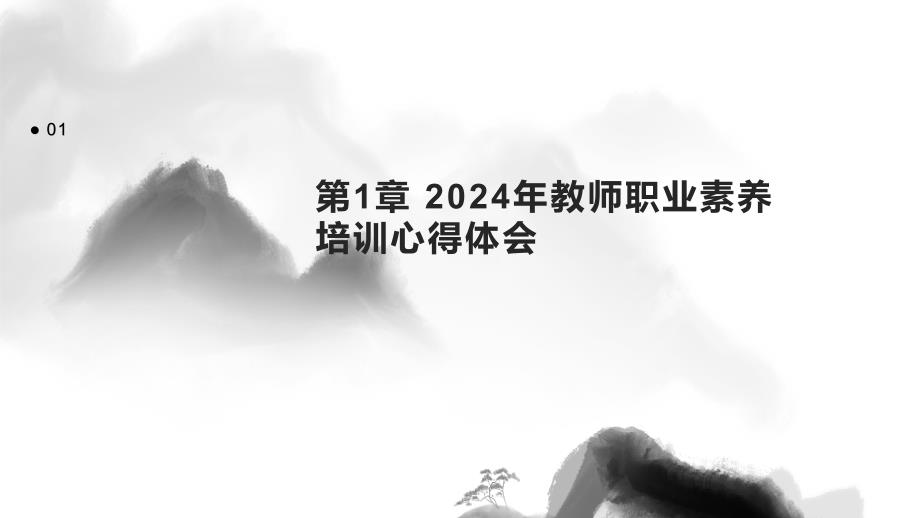 2024年教师职业素养培训心得体会_第3页