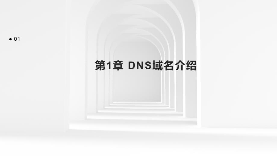《DNS域名介绍》课件_第3页