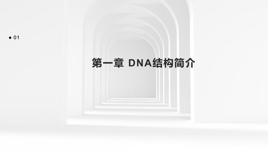 《DNA结构特点》课件_第3页