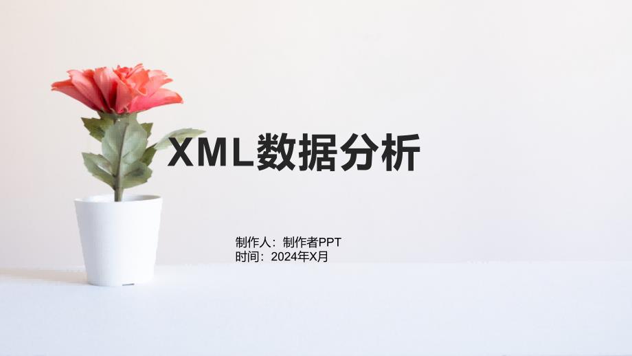 《XML数据分析》课件_第1页