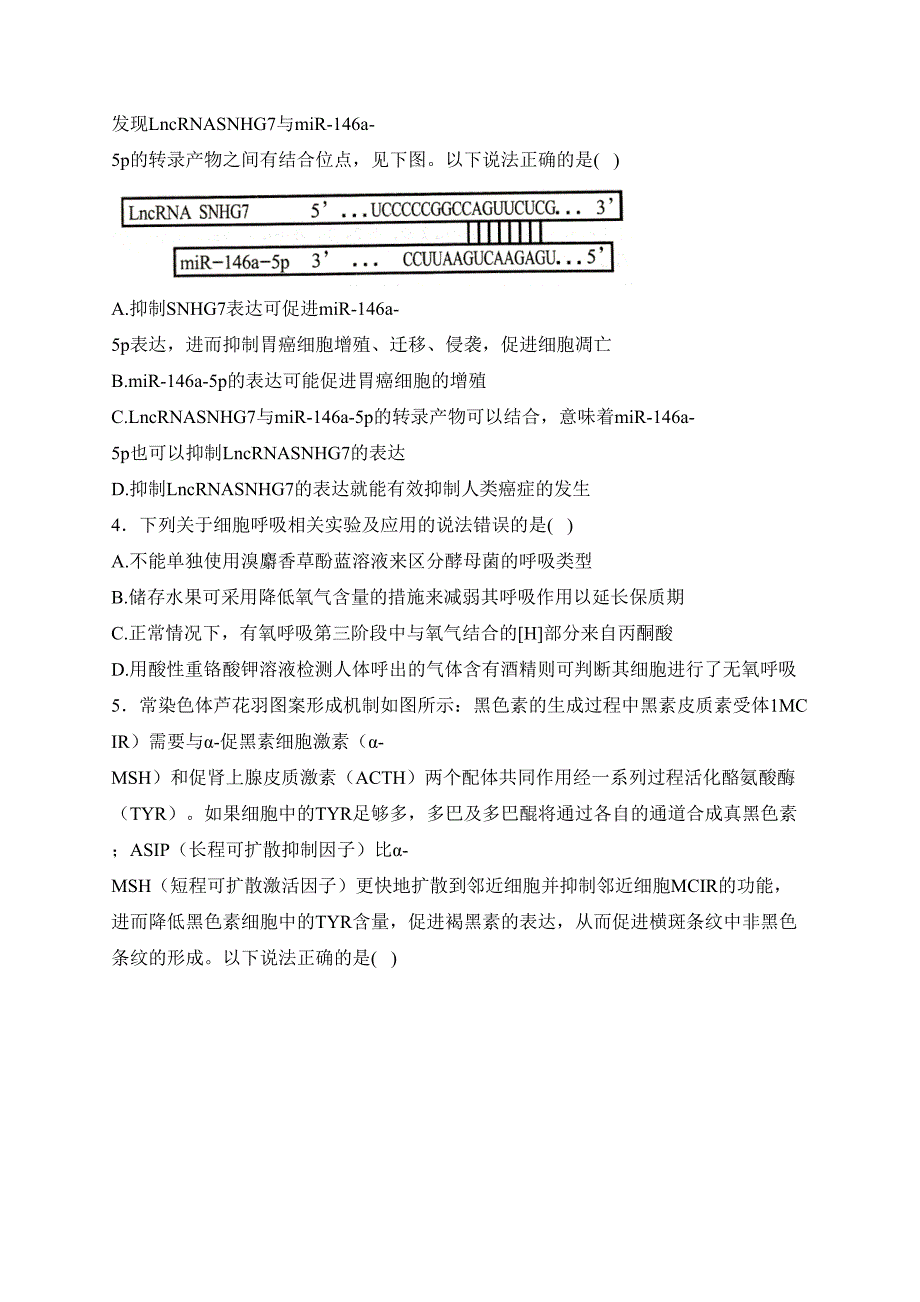 湖南省岳阳市2024届高三下学期教学质量监测（二）生物试卷(含答案)_第2页