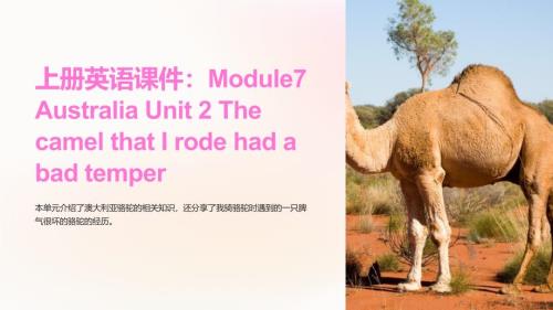上册英语课件：Module7 Australia Unit 2 The camel that I rode had a bad tem
