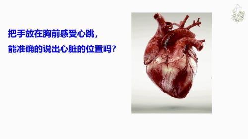 【生物】输送血液的泵-心脏课件 2023--2024学年人教版生物七年级下册