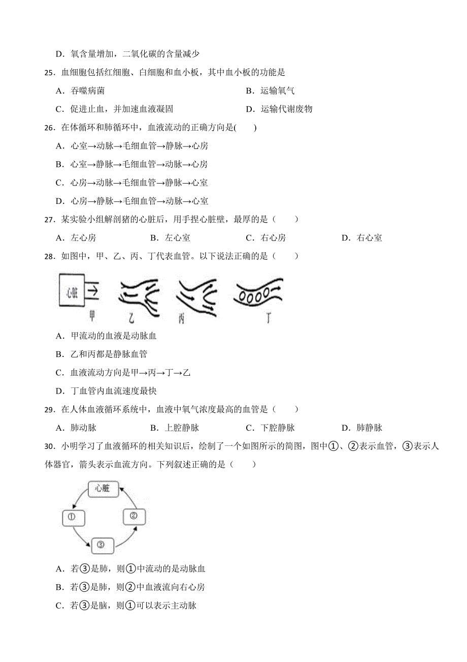 2024年广东省七年级下学期生物学期中考试试卷及答案_第5页