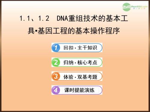 （江苏专用）2013版高中生物 1.1、1.2DNA重组技术的基本工具 基因工程的基本操作程序配套课件 新人教版选修3