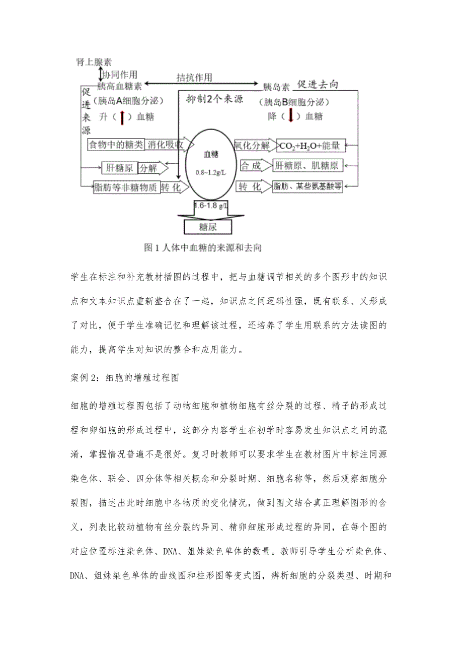 例析高中生物教材流程图在一轮复习中的应用_第3页