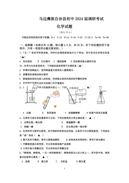 乐山市马边县2024年中考适应性考试化学试题无答案