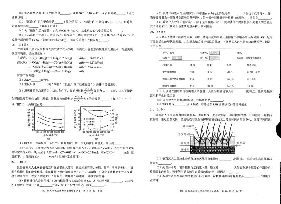 四川省宜宾市2024届高三下学期三模试题理综PDF版含答案_第5页