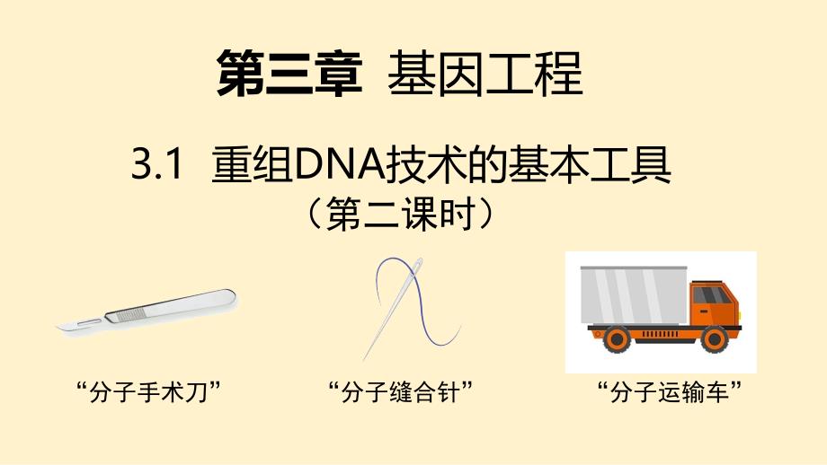 【生物】重组DNA技术的基本工具第二课时 2023-2024学年高二下学期生物人教版（2019）选择性必修3_第1页