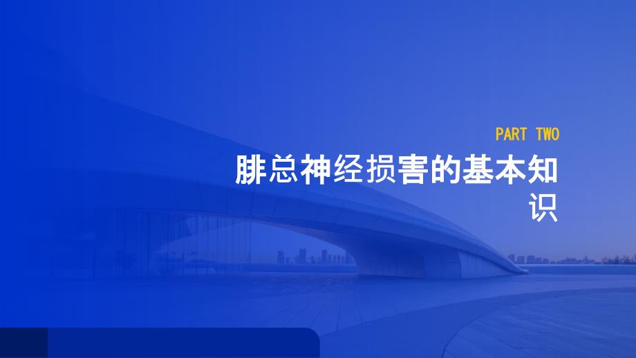 健康指南腓总神经损害患者的日常护理技巧_第4页