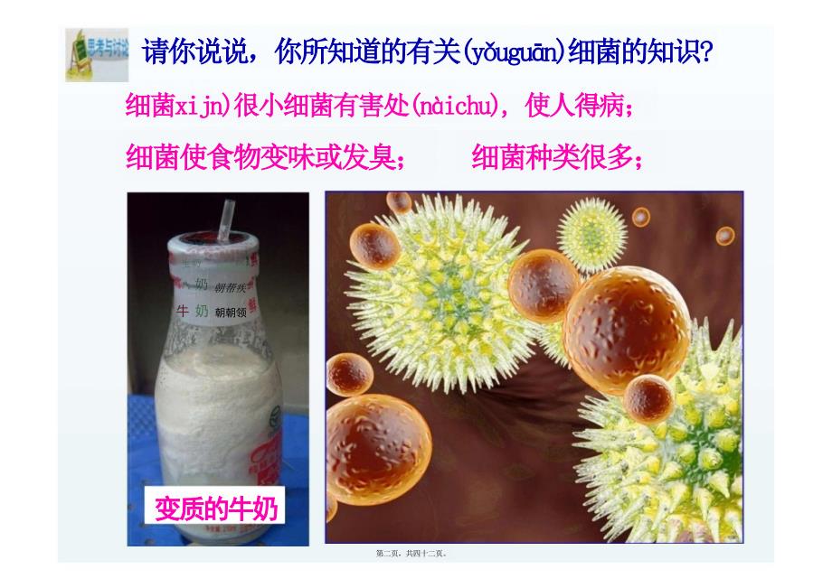 细菌和真菌的繁殖教学课件_第2页