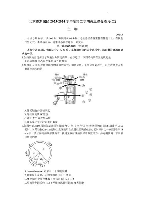 2024年北京东城区高三二模高考生物试卷试题真题