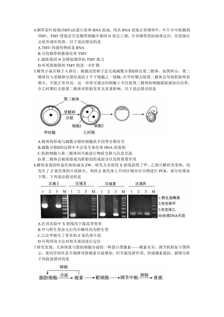 2024年北京东城区高三二模高考生物试卷试题真题_第2页